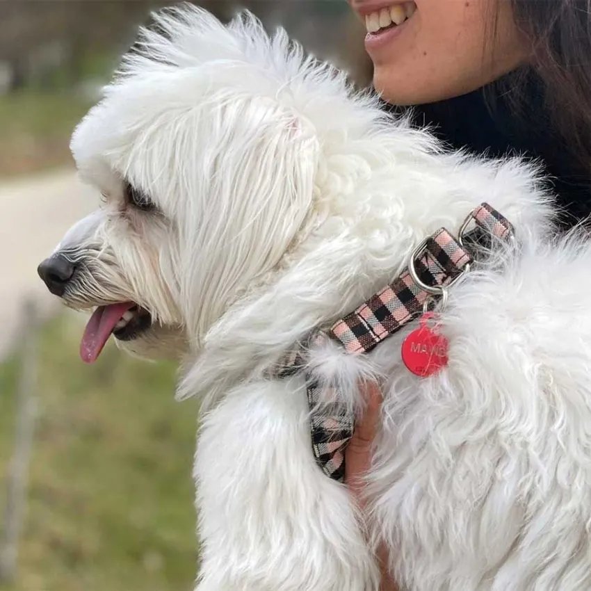 Essences heart farcell