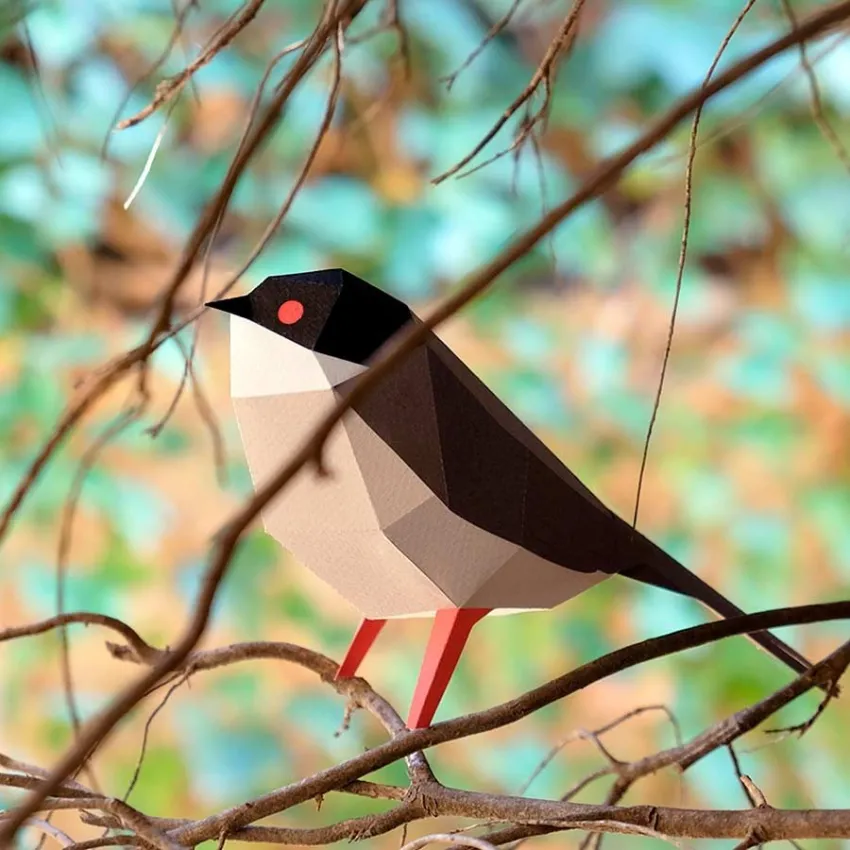 Ocells de Catalunya - Pit roig