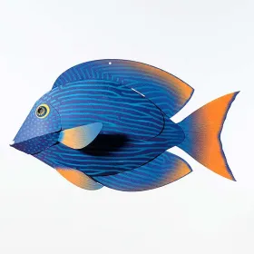 Chirurgien à cercle doré