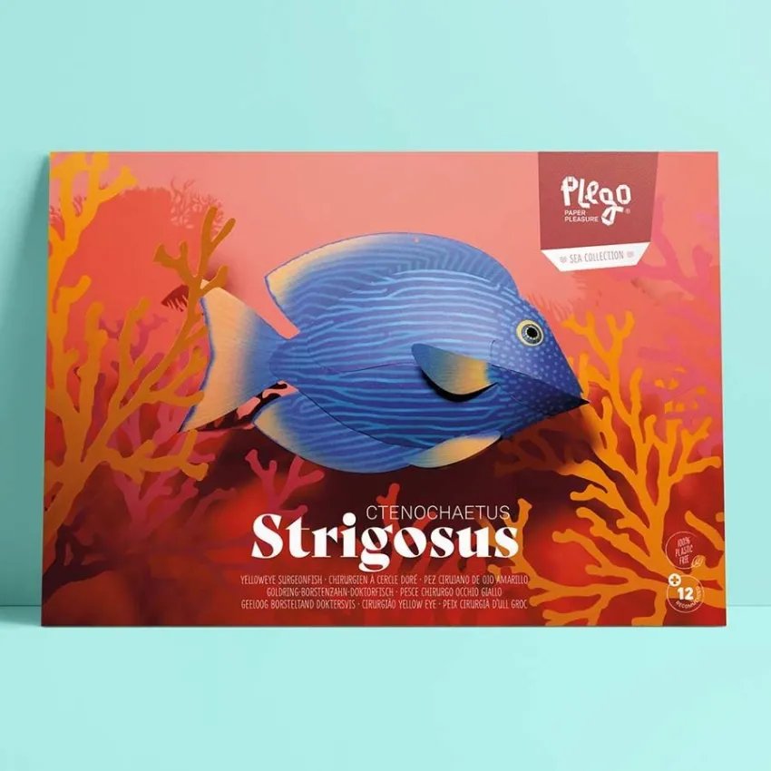 Yelloweye Surgeonfish