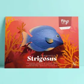 Chirurgien à cercle doré