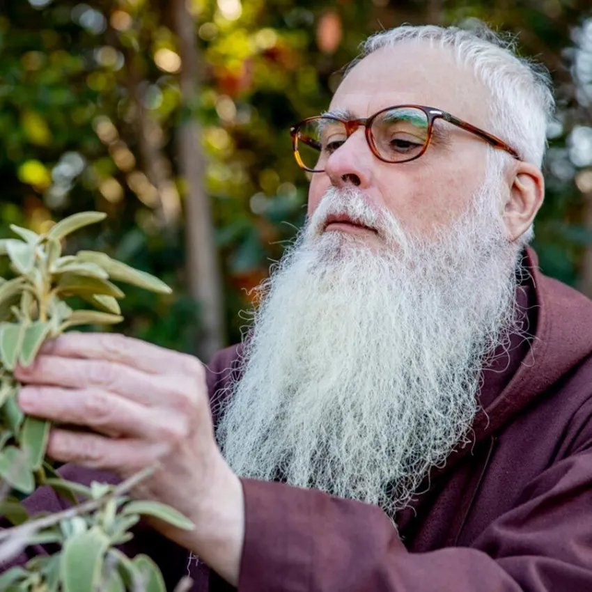 Entrem dins el pessebre