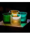 Xatus glasses