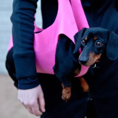 Bolsa para mascota Rita