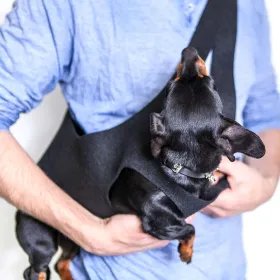 Sac pour animaux de compagnie Rita