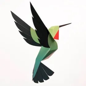 Oiseaux de Catalogne - Colibri à queue large vue diagonale