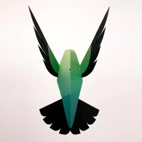 Oiseaux de Catalogne - Hirondelle Rustique vue dorsale