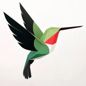 Oiseaux de Catalogne - Colibri à queue large vue de côté