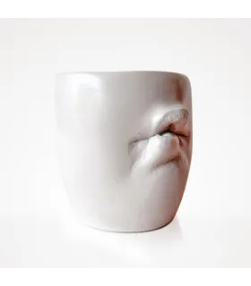 Lips Planters - Combining functionality and art with a touch of mystery.