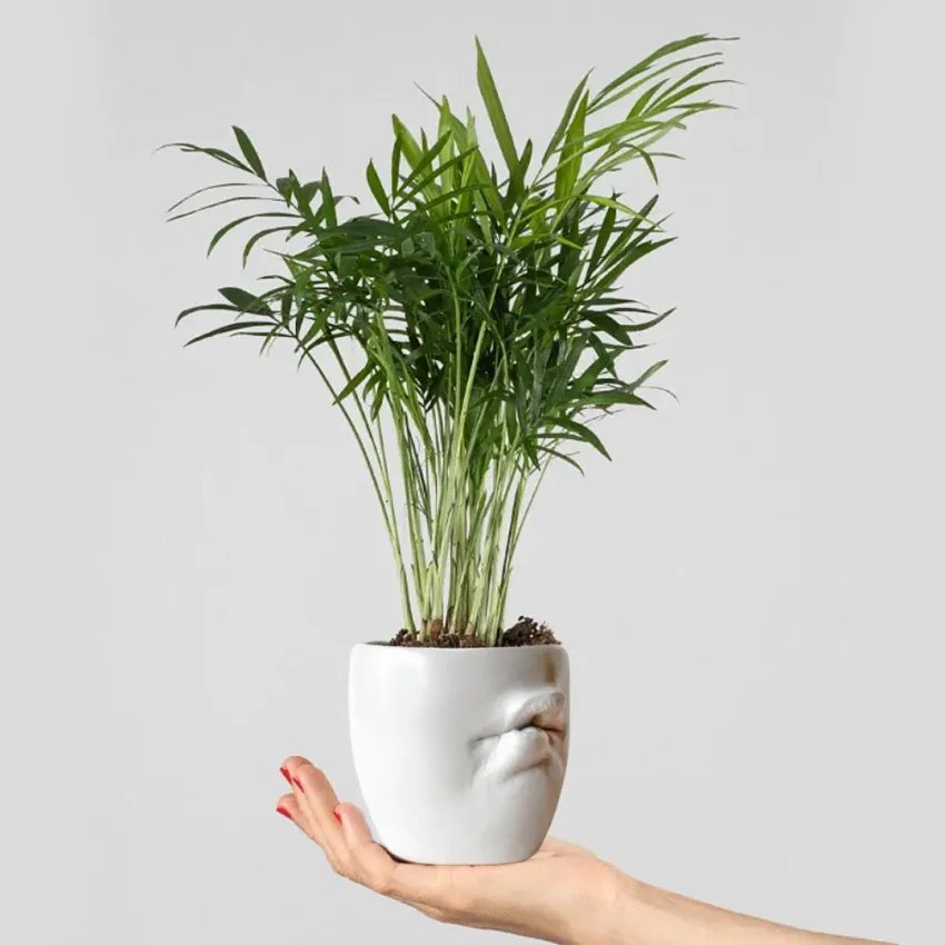 Testos Llavis - Unint funcionalitat i art amb un toc de misteri