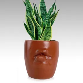 Lips Planter