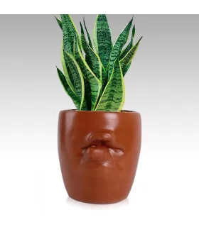 Lips Planter