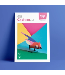 Basic Paper Birds – Easy and quick origami