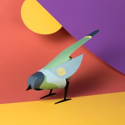 Oiseaux de Papier Basiques