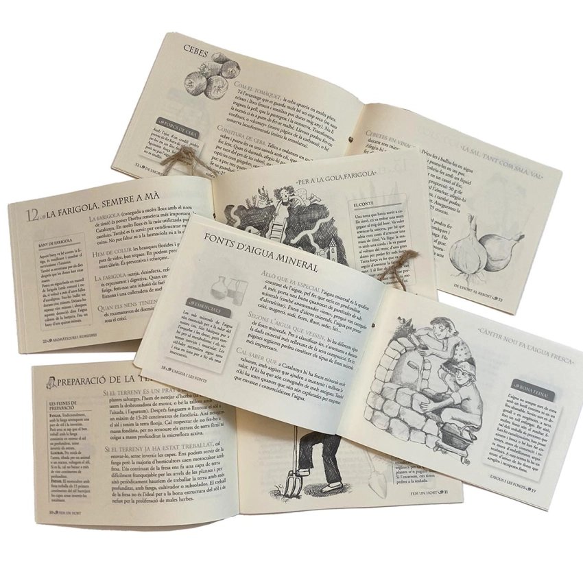 Lot 4 llibres: hort, herbes, conserves i fonts de Catalunya