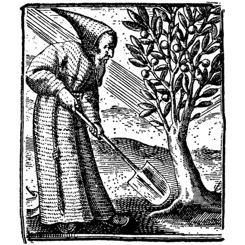 Cuina vegetariana de sempre | Receptes tradicionals catalanes