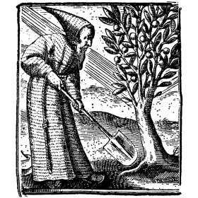 Cuina vegetariana de sempre | Receptes tradicionals catalanes