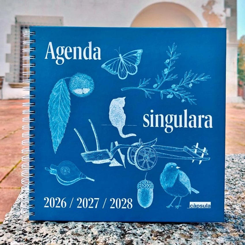 Agenda singulara 2026–2028 | Carnet de vie sur trois ans
