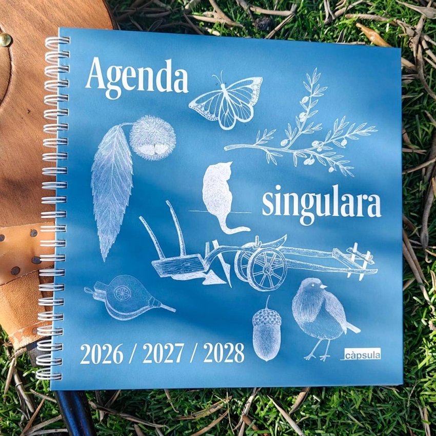 Agenda singulara 2026–2028 | Carnet de vie sur trois ans