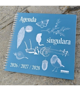 Agenda singulara 2026–2028 | Carnet de vie sur trois ans