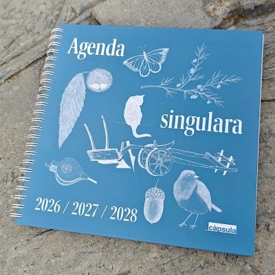 Agenda singulara 2026–2028 | Carnet de vie sur trois ans