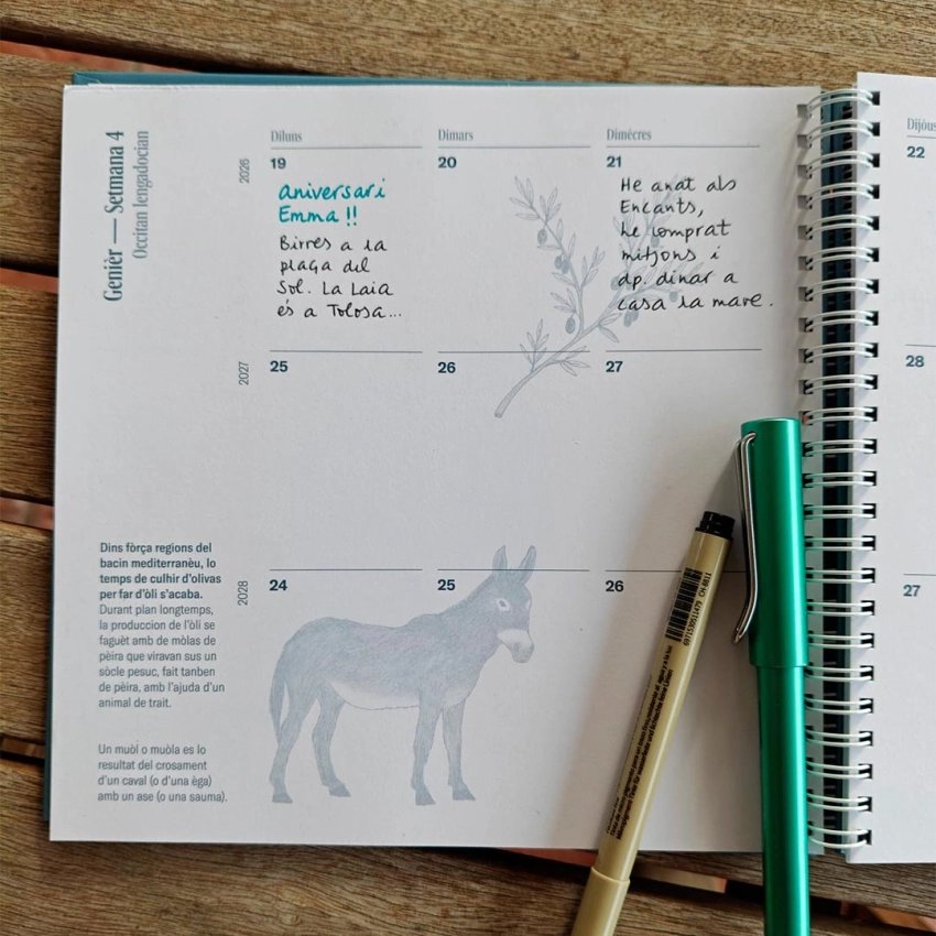 Agenda singulara 2026–2028 | Carnet de vie sur trois ans