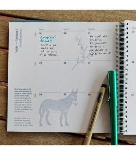 Agenda singulara 2026 / 2027 / 2028