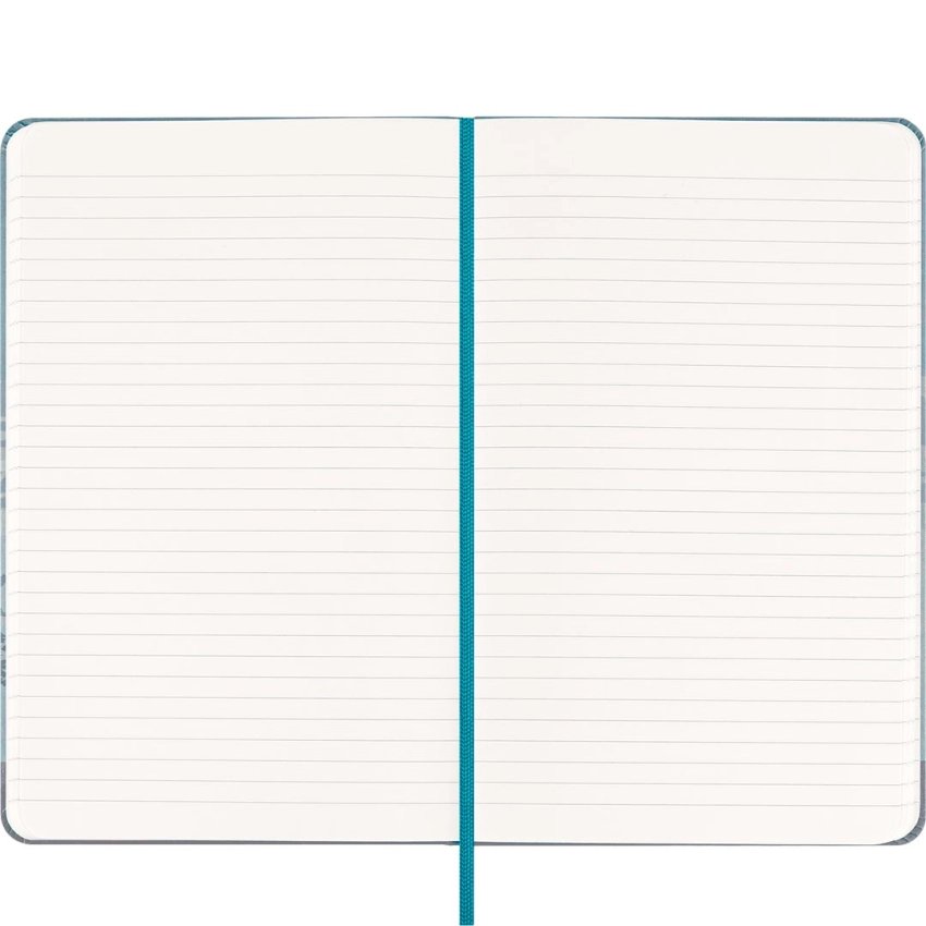 Llibreta Moleskine Casa Batlló Gaudí Edició Limitada