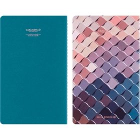 Set 2 Libretas Cahier Moleskine Casa Batlló Edición Limitada