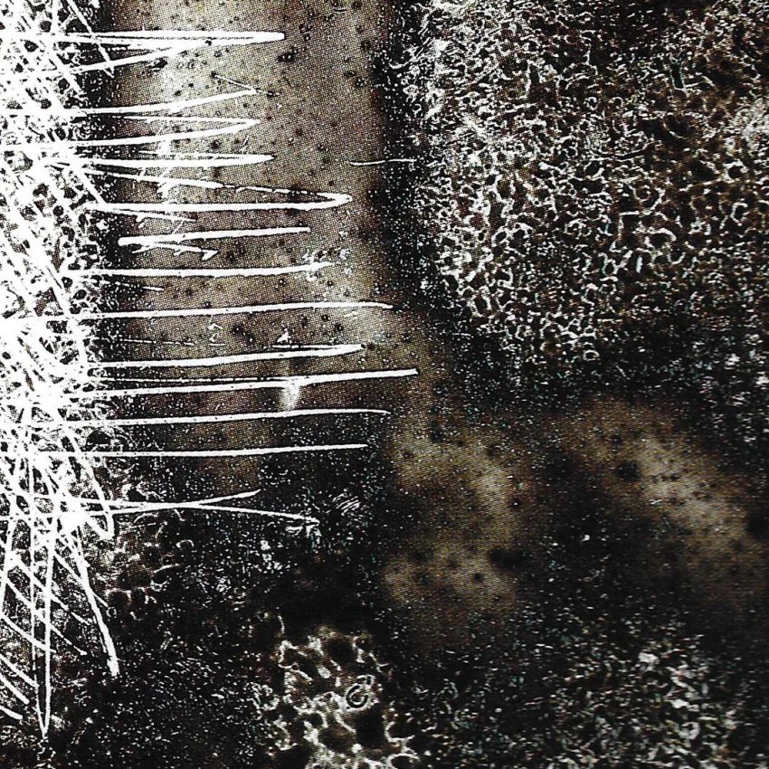 Diapographie Joan Vila Grau noir et blanc | Oniricat