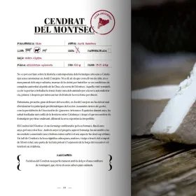 Página escrita Formatges