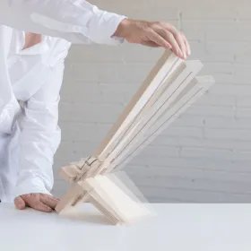 DELAMP in motion by model