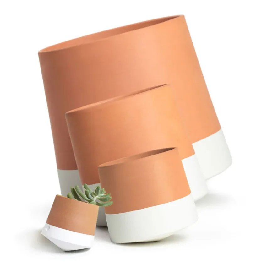 Tiesto Voltasol 4 medidas