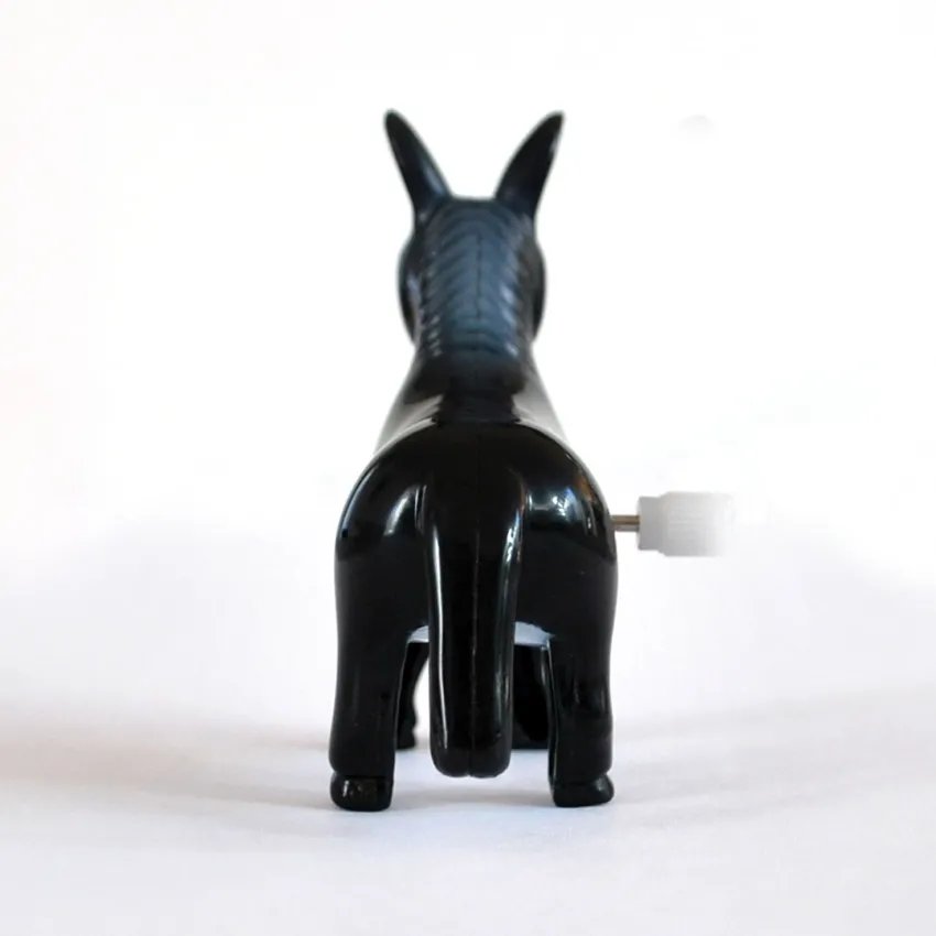 Black Tumbler Donkey dorsal view