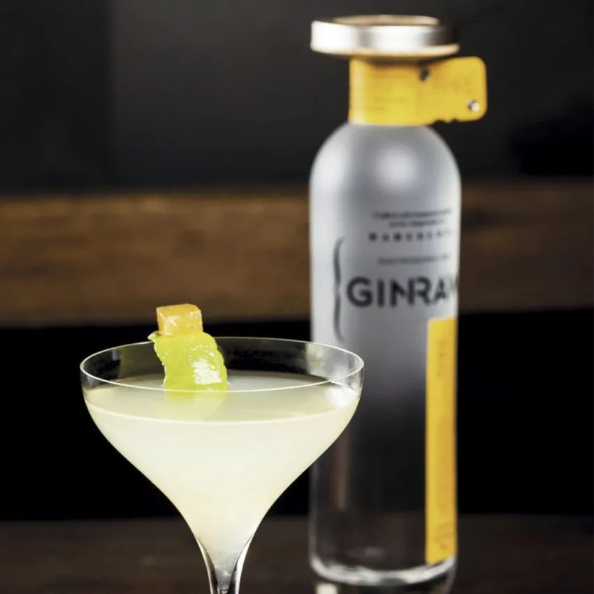 Gin GINRAW coupe