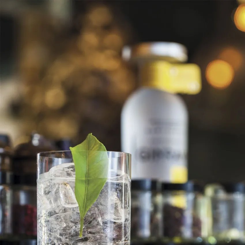 Gin GINRAW verre menthe