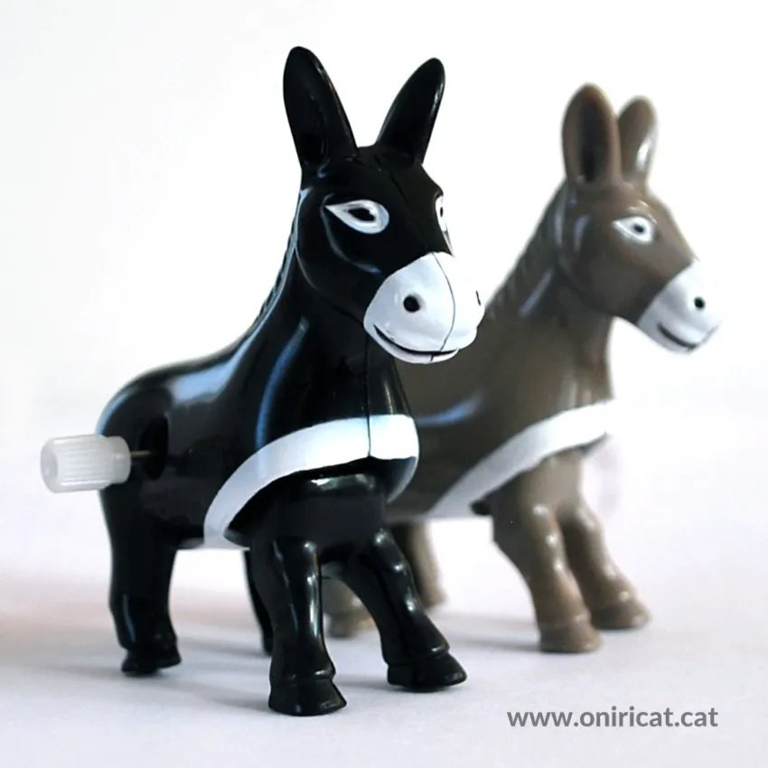 Ruc Saltimbanqui vista diagonal